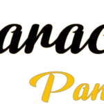 kp-p-logo11
